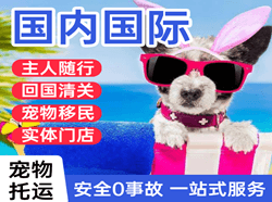 临沧博尚航空运输国际宠物托运 【国